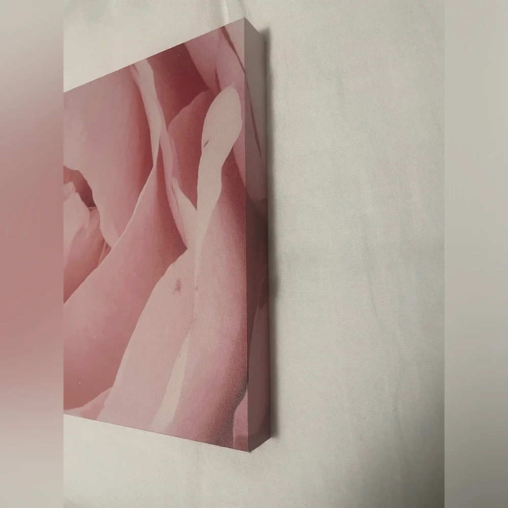 Urban Outfitters Pink Floral Canvas Art
